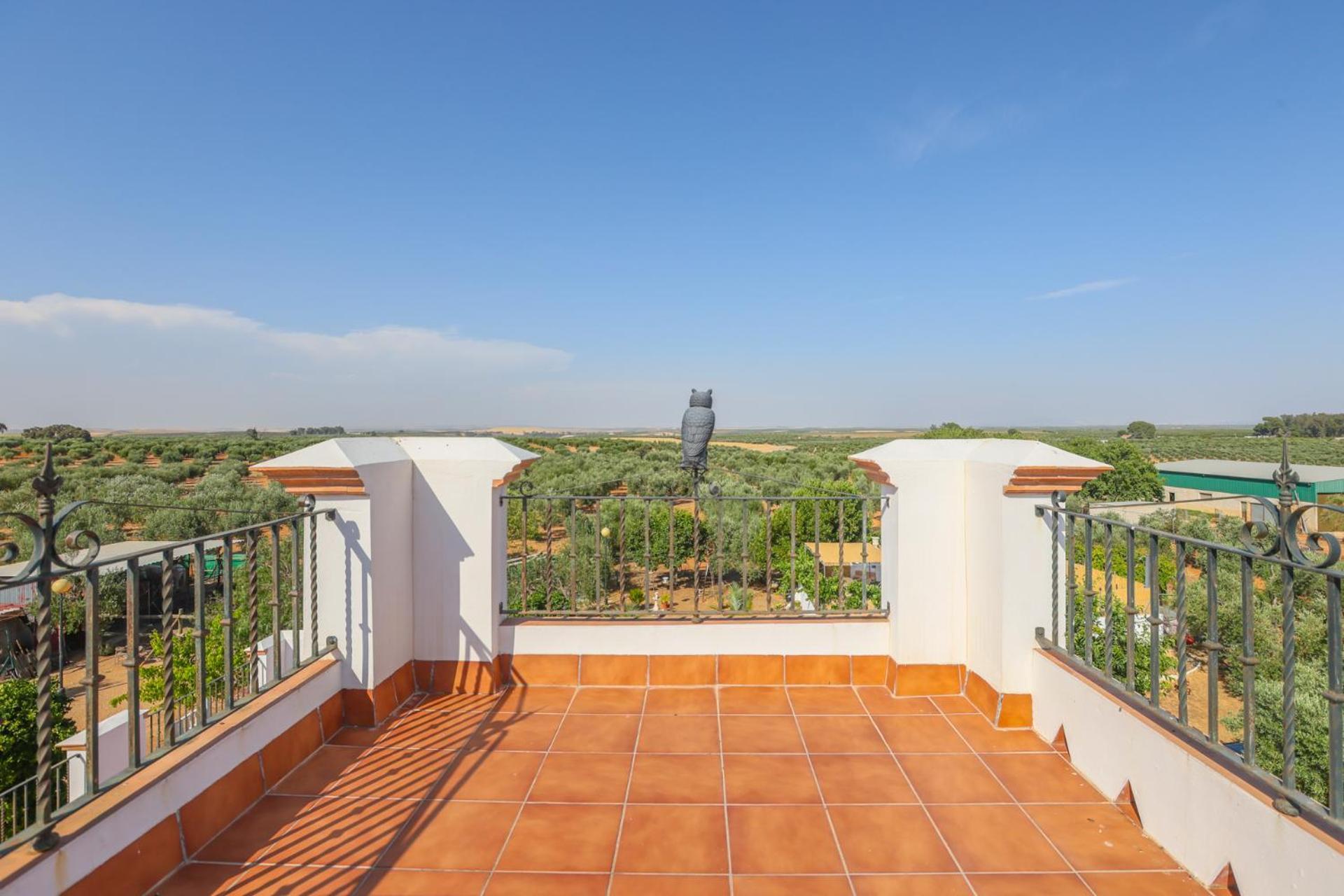 Casa Rural Los Miradores Marchena  Bagian luar foto