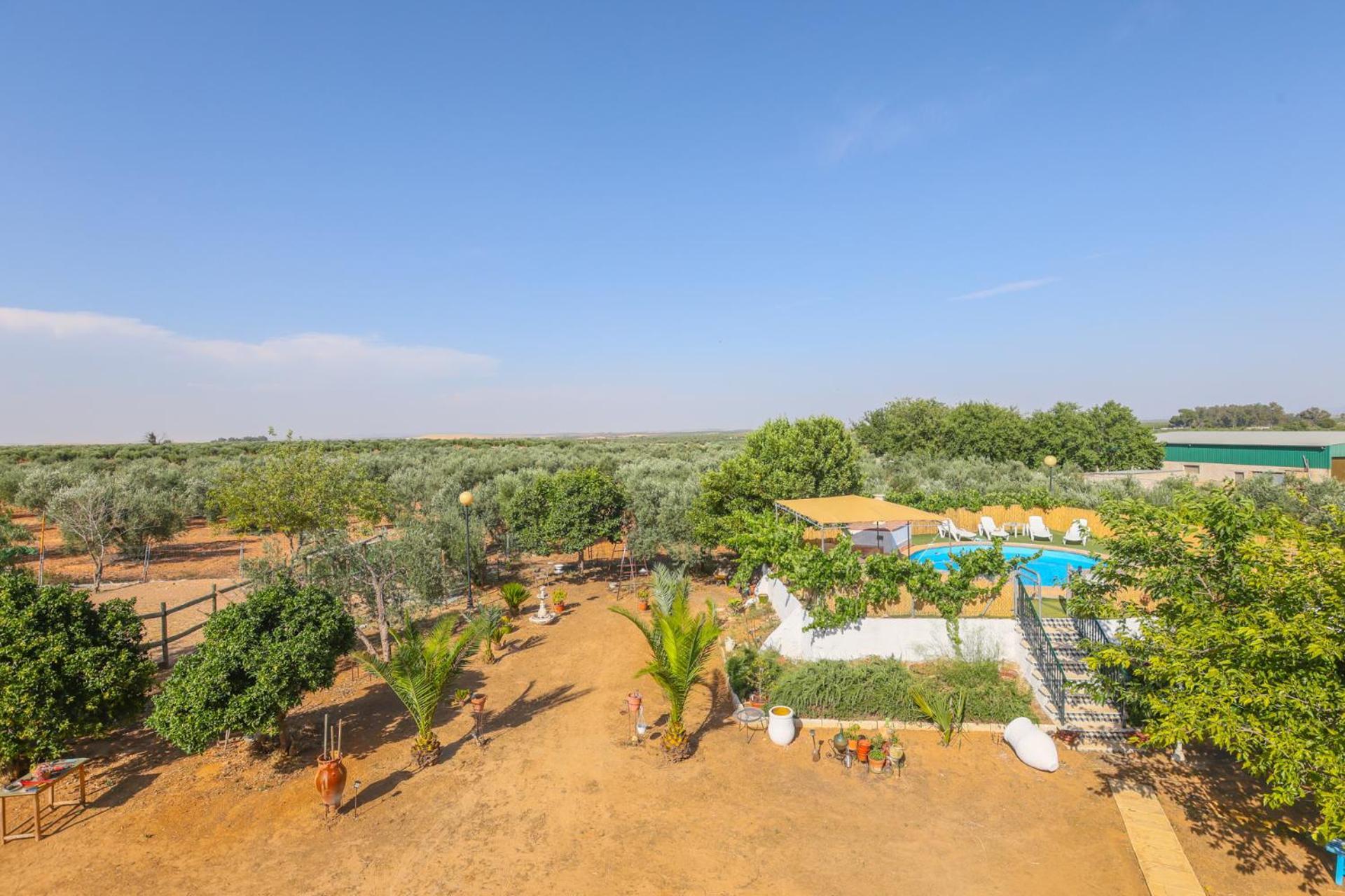 Casa Rural Los Miradores Marchena  Bagian luar foto