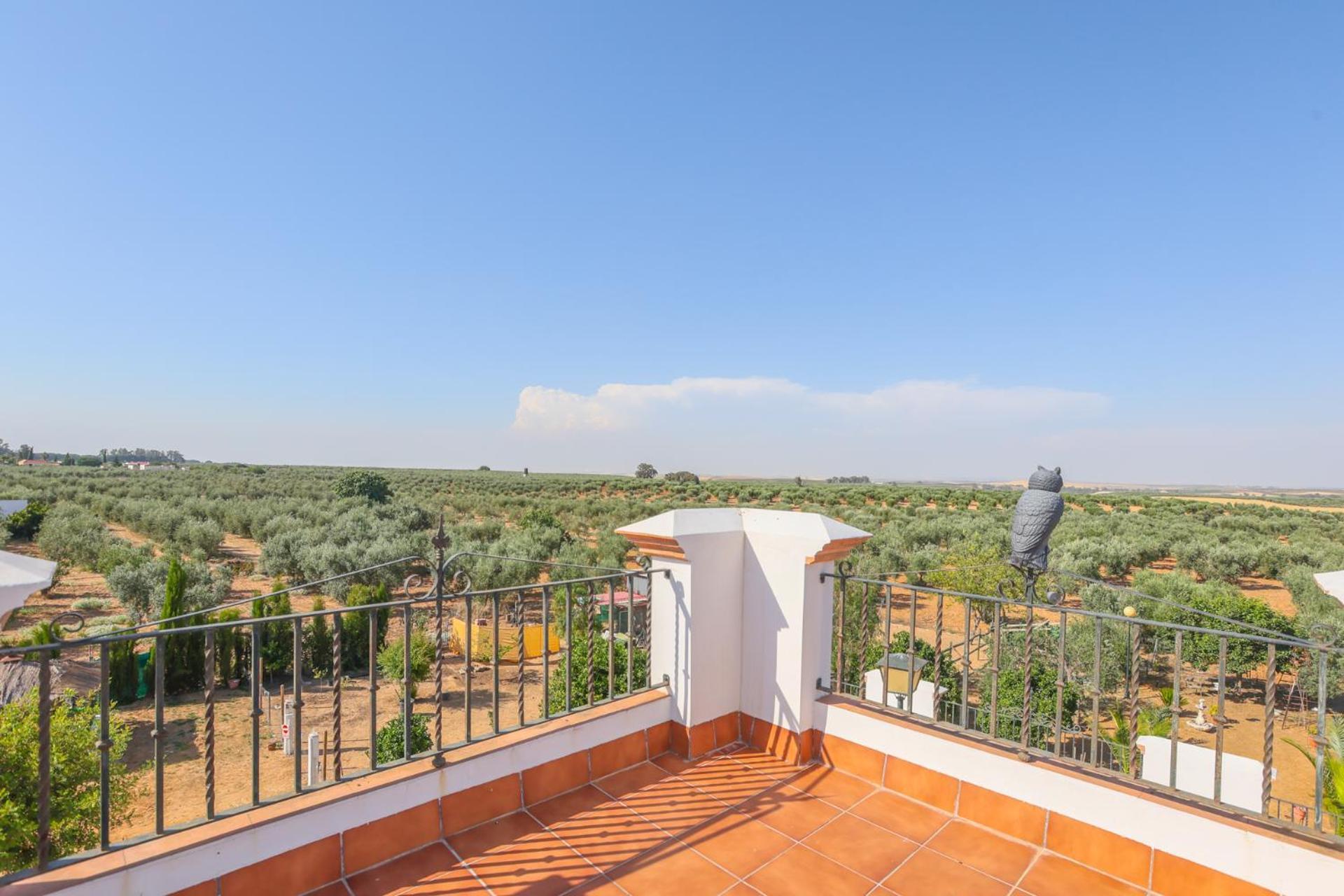 Casa Rural Los Miradores Marchena  Bagian luar foto