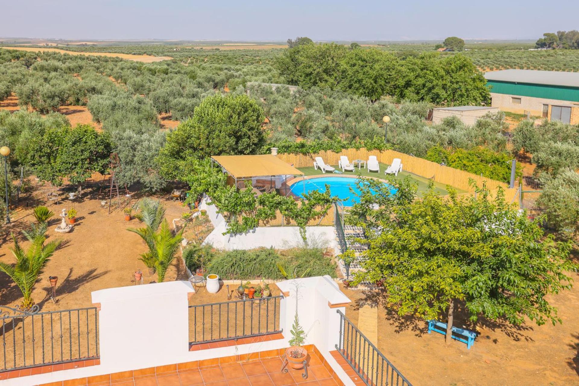 Casa Rural Los Miradores Marchena  Bagian luar foto